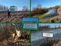 Docieramy do stawu Młynosko