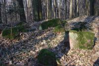 "Przygoda z Marzanną"- 25 marca 2012; niedzielna wycieczka "Przygody"