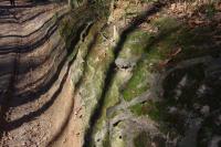 "Przygoda z Marzanną"- 25 marca 2012; niedzielna wycieczka "Przygody"