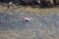 "Przygoda z Marzanną"- 25 marca 2012; niedzielna wycieczka "Przygody"