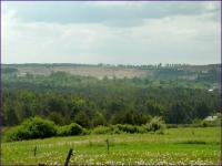 46 Urodziny "Przygody"