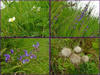 46 Urodziny "Przygody"