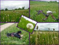 46 Urodziny "Przygody"