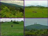 46 Urodziny "Przygody"