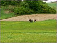 46 Urodziny "Przygody"