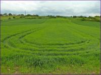 46 Urodziny "Przygody"