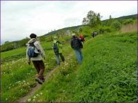 46 Urodziny "Przygody"