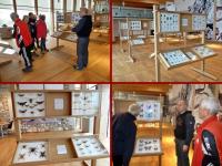 Wystawa motyli i innych owadów