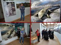 Oko w oko z tetrapodem