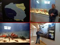 Pomysleć że kiedyś było u nas morze a klimat jak na Hawajach;-))