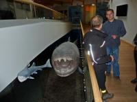 Wizyta w Gooparku c.d. 