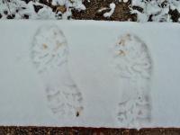 Podobno są to ślady "dwupoda";-))