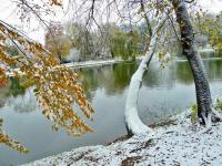 Zimowa złota jesień w parku