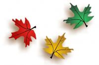 Pożegnanie sezonu rowerowego- ostatni, oficjalny rajd klubu "Kigari"