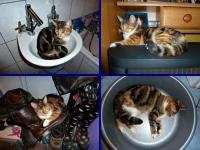 Zakamarki to specjaność pstrokatej KAŚKI;-))