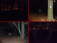 Na niebieskim szlaku