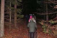 Wchodzimy do lasu;  fot. Andrzej Śpiewak