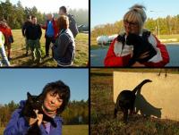 Jak zwykle nie mogło zabraknąć kocich akcentów;-))