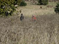 Buszujący w zbożu??? Niegrzeczni chłopcy;-)))