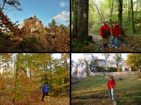 Złota polska jesień