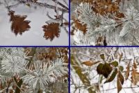 Z Wiernej Rzeki do Piekoszowa- relacja z niedzielnej wycieczki "Przygody" 27 styczna 2013