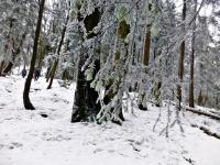 Wędrówka na Łysicę