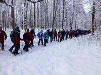 Jedzie pociąg z daleka,