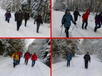 Zimowa wędrówka w lesie