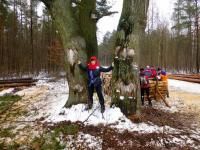 Czas na odpoczynek i małe co nieco- stare dęby