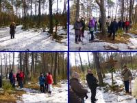 Odpoczynek w lesie- u podnóża Zalasnej