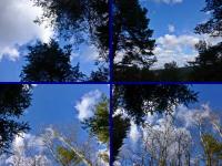 Wiosenny lazur nieba... na to czekaliśmy z utęsknieniem