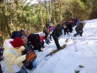 Droga Krzyżowa na Górze Zalasnej