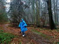 Wandzia w jesiennej scenerii