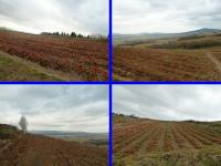 Mijamy truskawkowe pola