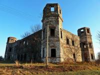 Podzamcze Piekoszowskie- ruiny pałacu Tarłów z poł. XVII w.