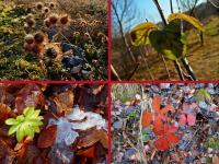 Na trasie towarzyszyło nam piękno przyrody...