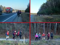 Już wchodzimy do lasu...