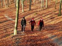 Podejście na Patrol 