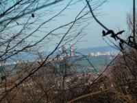 Patrol- widok na panoramę Kielc