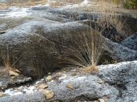 Księżycowy krajobraz