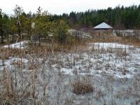 Tropy dinozaurów przykryte drewnianą wiatą