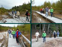 Pomost w północnej części rezerwatu