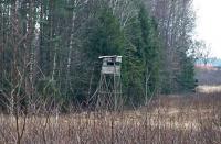 Ambona myśliwska- tę fotkę jak zwykle dedykuję Adrianowi