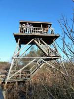 Wieża widokowa na tle bezchmurnego nieba