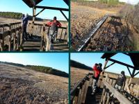 Widok na bagna rezerwatu Krasna