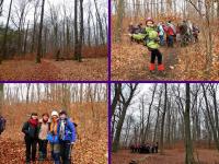 Rezerwat Bukowa Góra