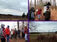 Rezerwat Bukowa Góra