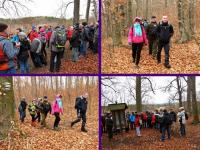 Rezerwat Bukowa Góra... idziemy dalej a... 