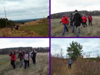 Rezerwat Murawy Dobromierskie