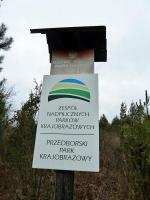 Cały czas jesteśmy na terenie Przedborskiego Parku Krajobrazowego